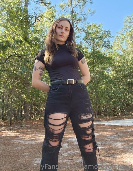 chamomileforbed perfekte heiße bilder