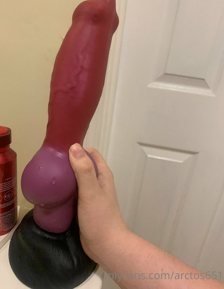 arctos651 porno erwachsene foto