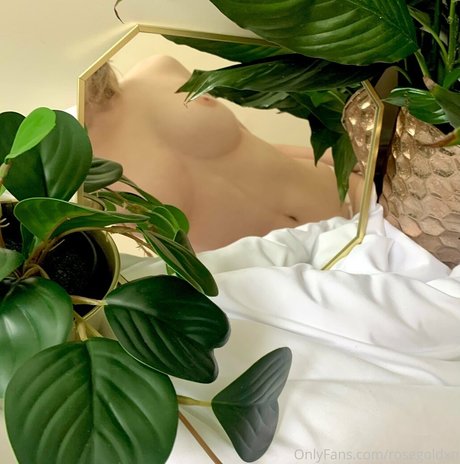 rosegoldxn perfekte nacktheit bild