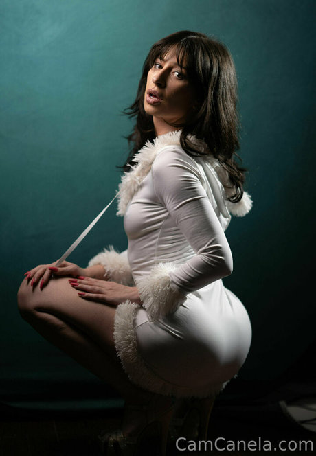 camcanela top kunst bilder