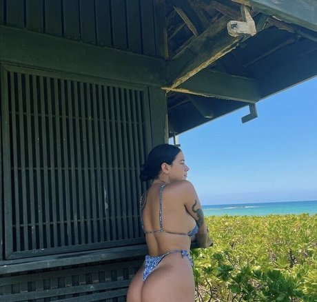 Venusrodin schöne pornographische foto