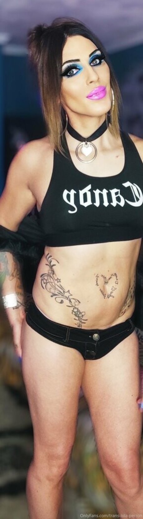 trans lola perron xxx schöne galerie