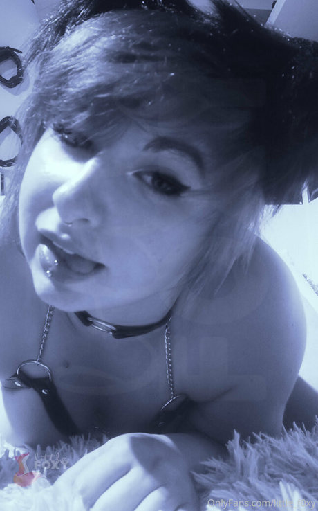little f0xy perfekte bild