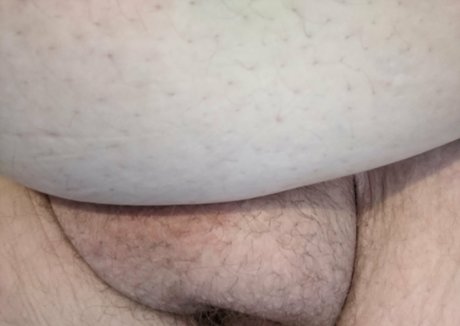 zadyas toybox top exklusive bilder