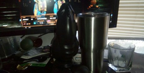 zadyas toybox beste perfekte galerie