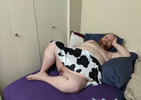 zadyas toybox hübsche kostenlose bilder