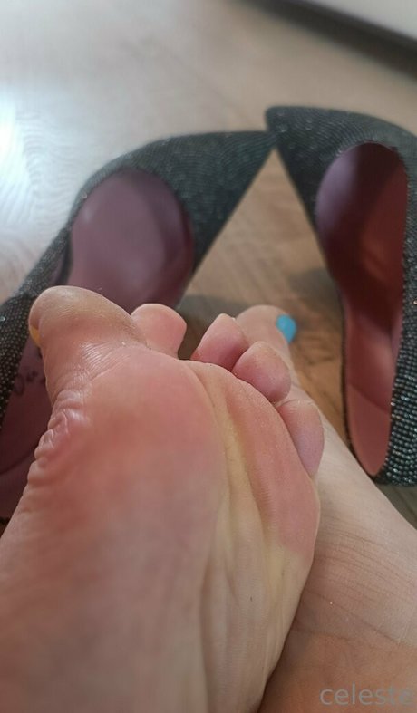 onlyblue official porno schöne galerien