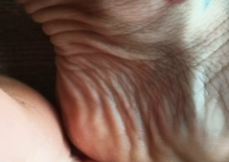 onlyblue official kostenlose erotische bild