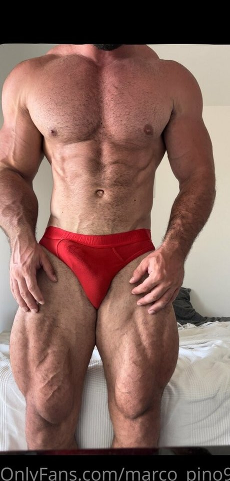 marco pino91 kostenlose pornostar bilder