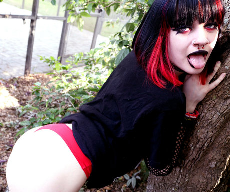 em h0rr0r kunst pornostar galerien