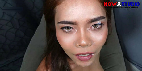 nowxstudio perfekte exklusive galerien