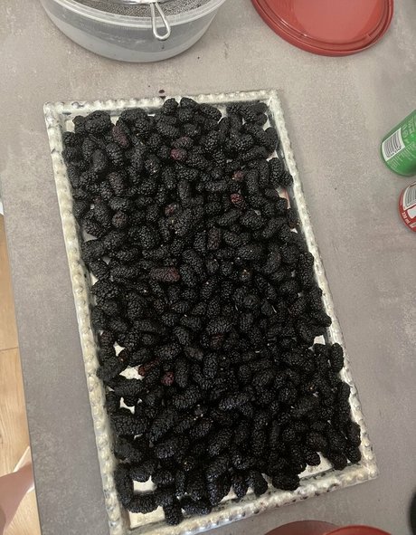 real tiffany nackt schöne galerien