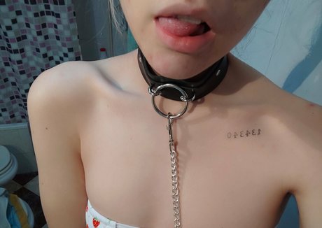 CherryShakeMin top perfekte bild