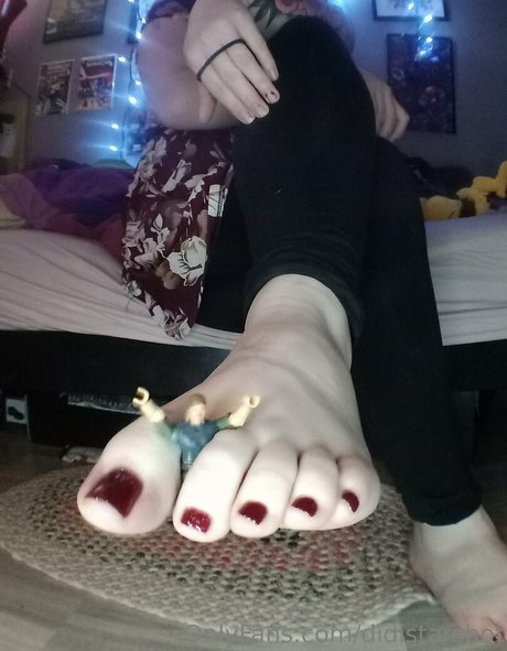 didistarshot exklusive top bild