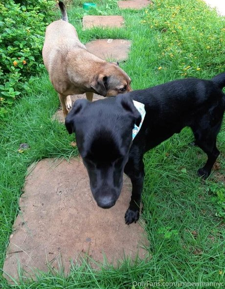 jimnewmannyc schauspielerin heiße archiv