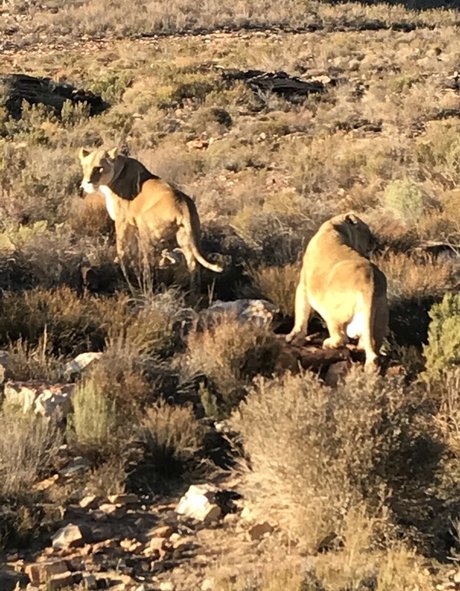 jimnewmannyc beste akt fotos