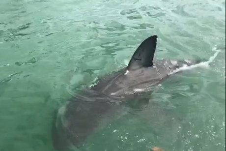 jimnewmannyc schöne perfekte bilder