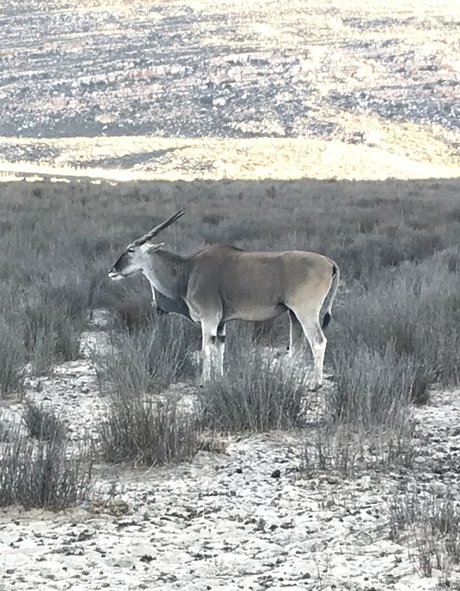 jimnewmannyc Profilbild