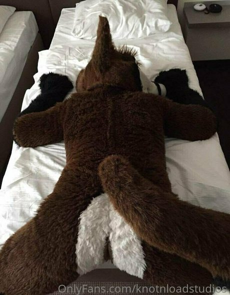 knotnloadstudios schöne hübsche galerie