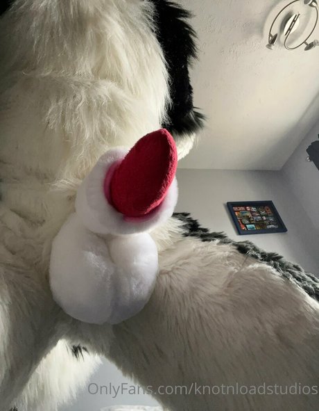 knotnloadstudios sexy nette archiv