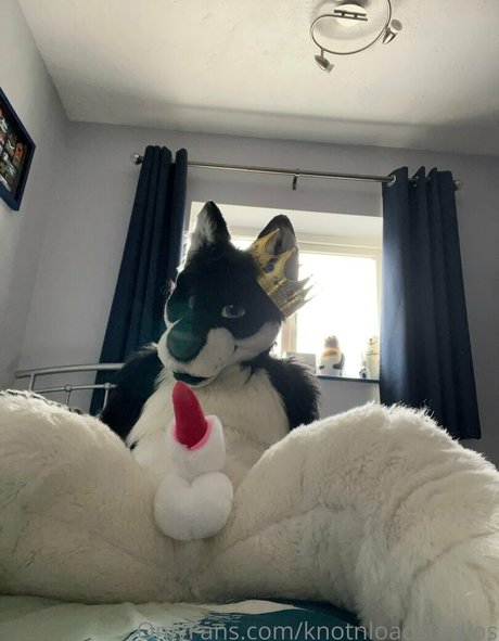 knotnloadstudios top pornostar galerie