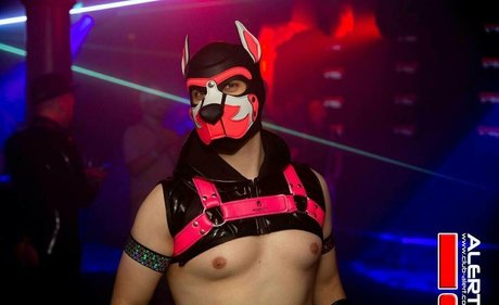 knotnloadstudios hd freie bild