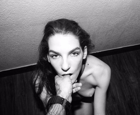 Stevie Macaroni porno nette bild