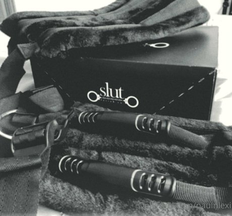 paulnlexi Profilbild