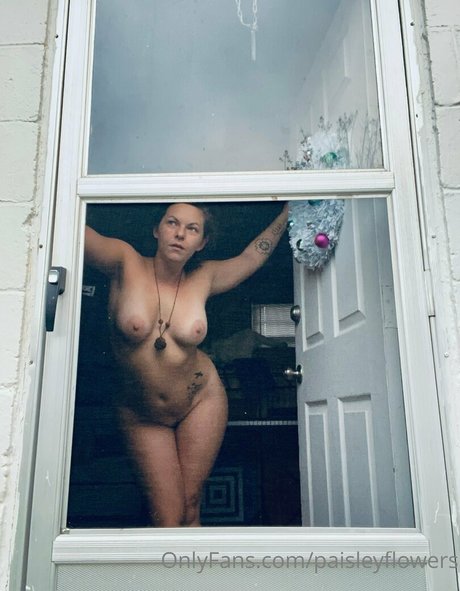 paisleyflowers heiße schöne bild