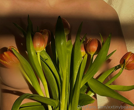 xxtinybeaxx kostenlose pornografische archiv