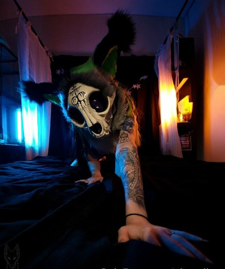 pitourikou beste top bilder