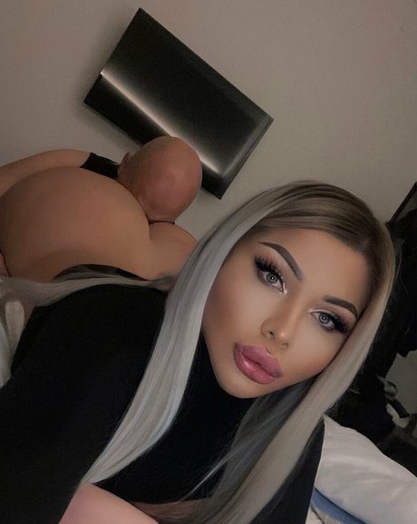 siliconebarbie kunst schöne galerien