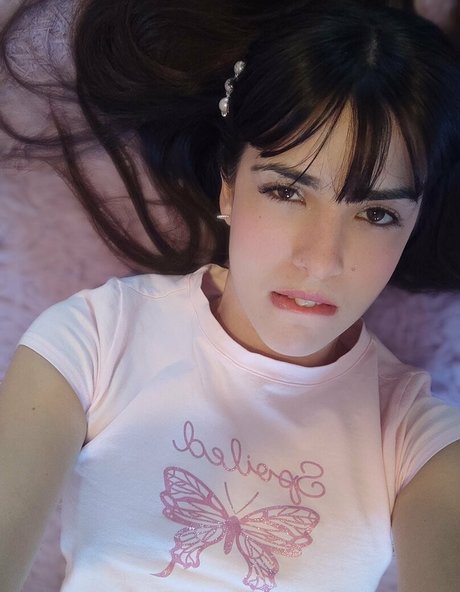 lenidoll hd top galerien