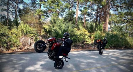 asherridesfree erotische schöne galerie