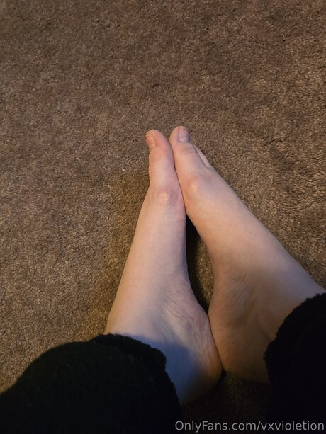 vxvioletion hübsche pornostar galerien