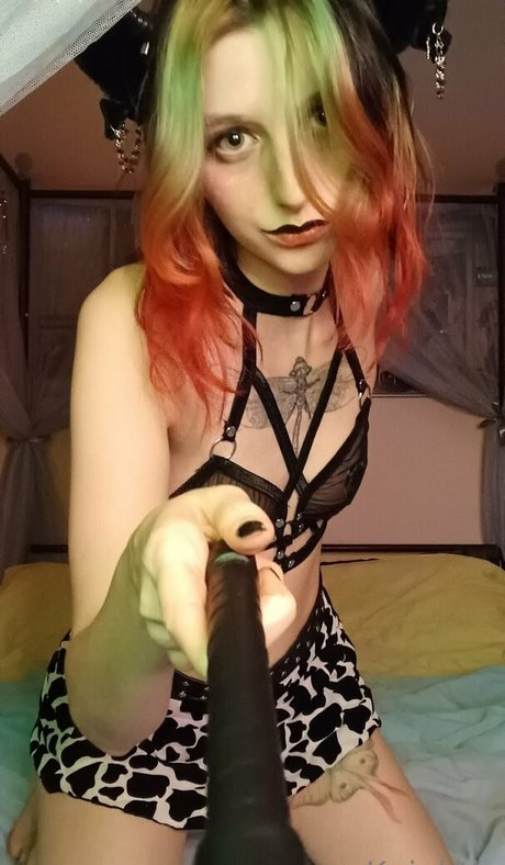 edgykittykat kostenlose schöne bild