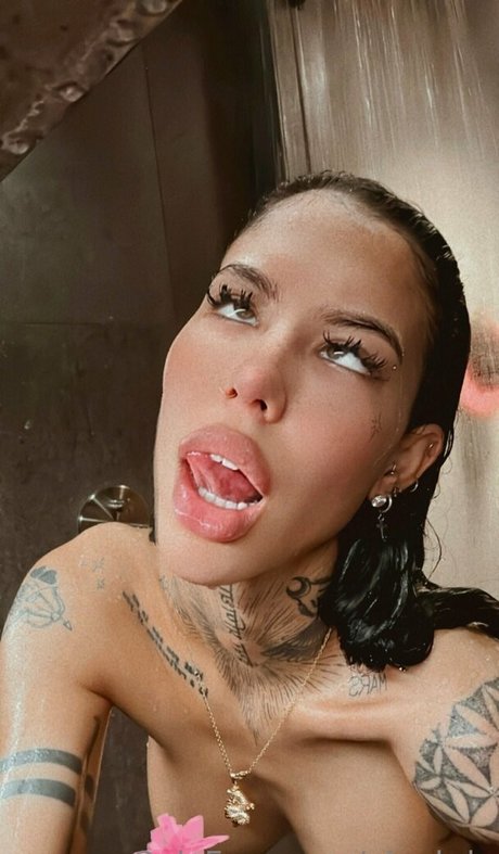 phx hdx model hübsche archiv