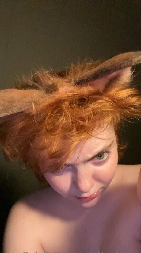 attackpup xxx perfekte galerie