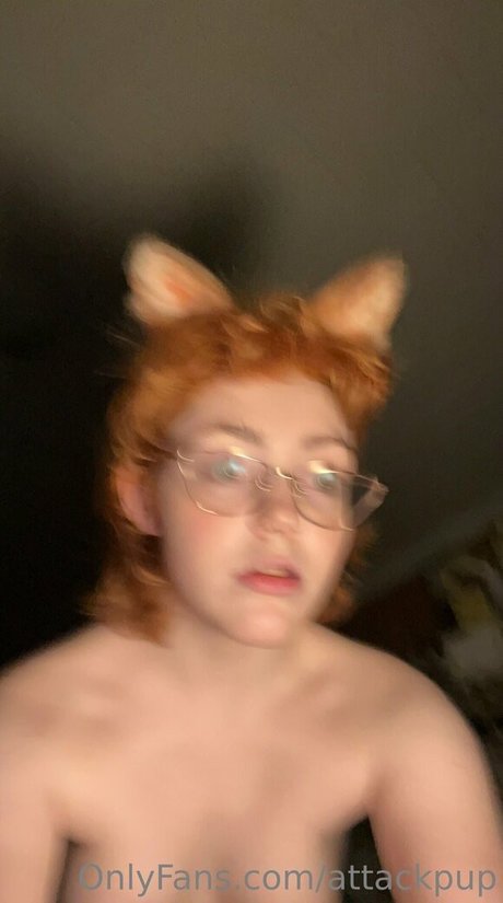 attackpup pornostar top foto