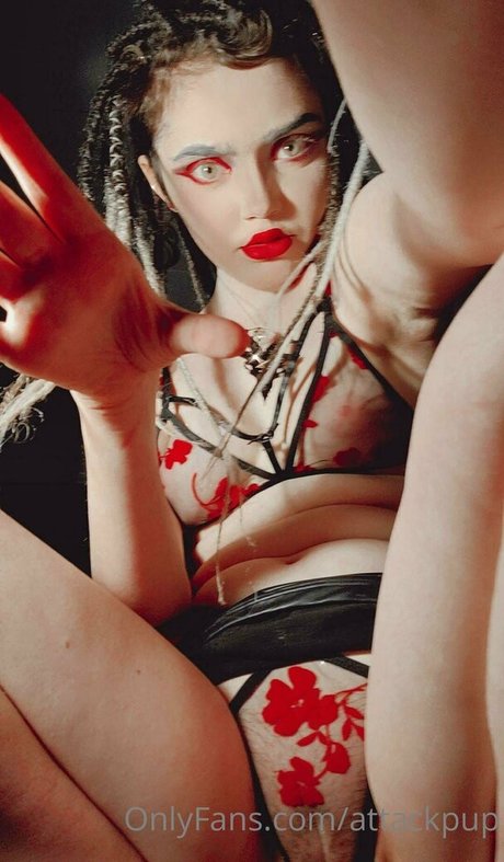 attackpup heiße beste galerie