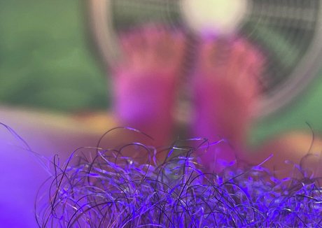 gtslongpiggies exklusive freie galerie