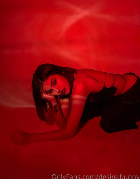 desire bunny Profilbild