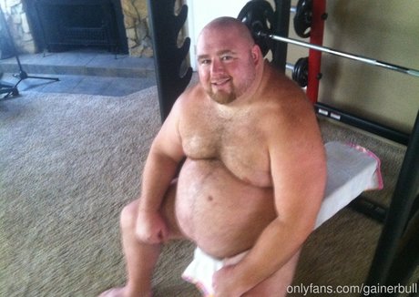 gainerbull kostenlose kunst fotos