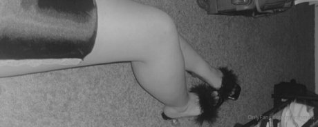 marshmels top beste archiv