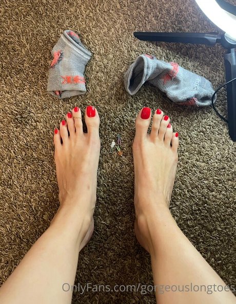 kein höschen nur fans hd freie foto