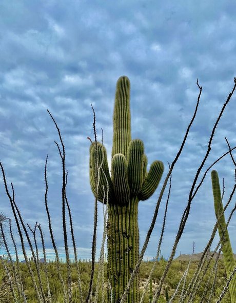 loandthecosmos2 erwachsene sexy galerien