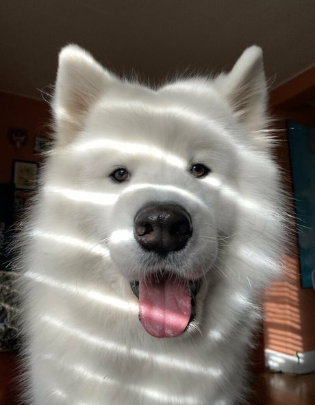 loandthecosmos2 erotische top archiv