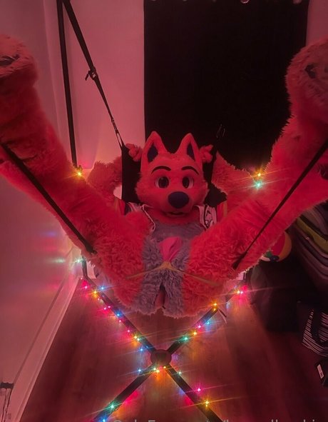 houndhuskio exklusive hd galerien