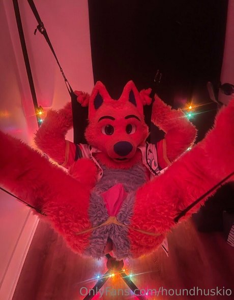 houndhuskio hübsche pornographische archiv