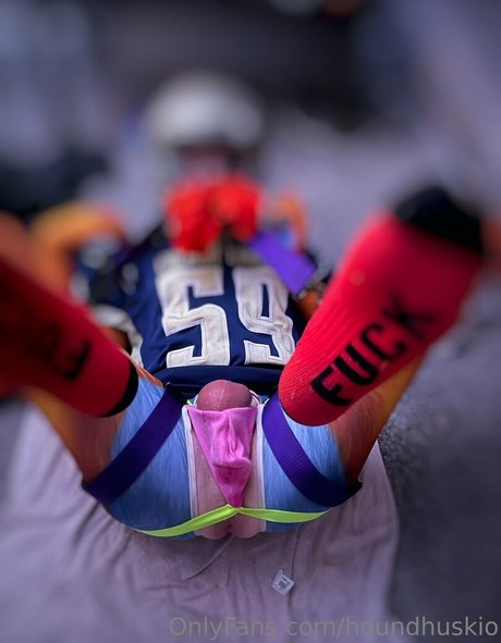 houndhuskio hd schöne foto